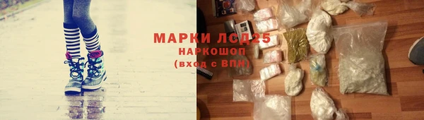дживик Богданович