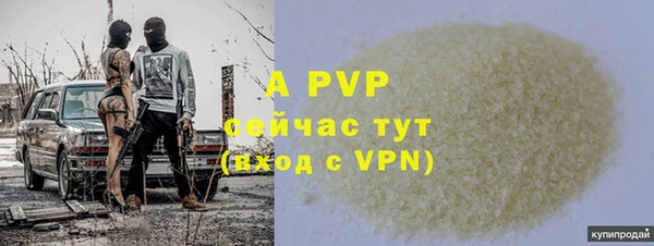 дживик Богданович